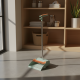 Broom With Dustpan